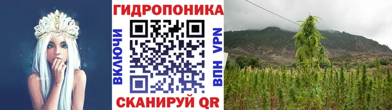 Купить  Называевск  Марихуана план 